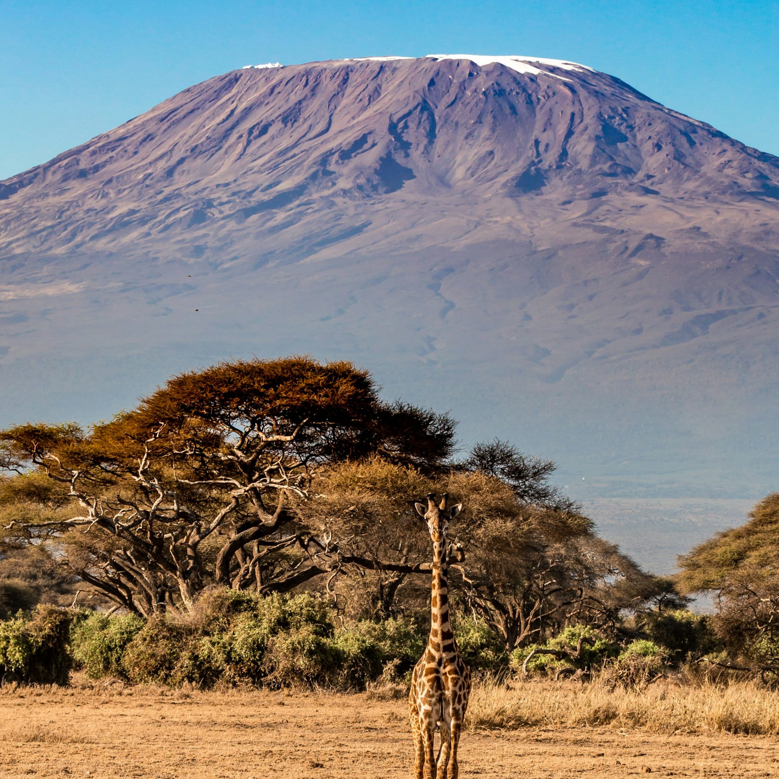 9WTK Day 6: Amboseli National Park, Kenya