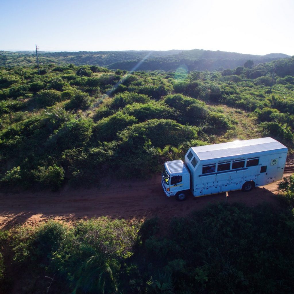 mozambique overland tours