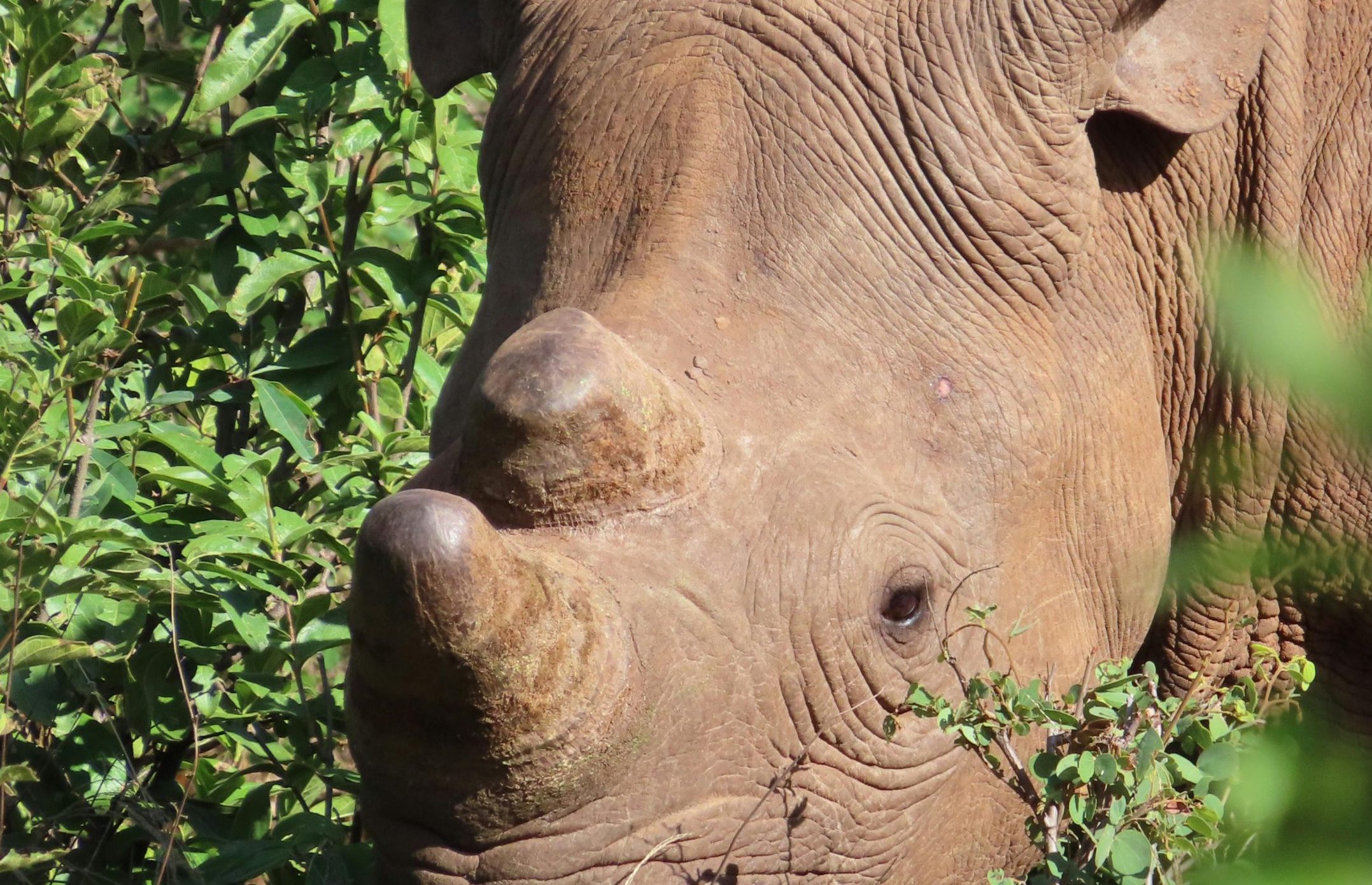 Matobo National Park