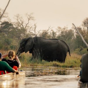 21 Day Eastern Adventure – Livingstone to Nairobi Overland
