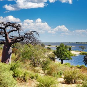 31 Day Cape Town to Johannesburg via Zimbabwe Safari Tour