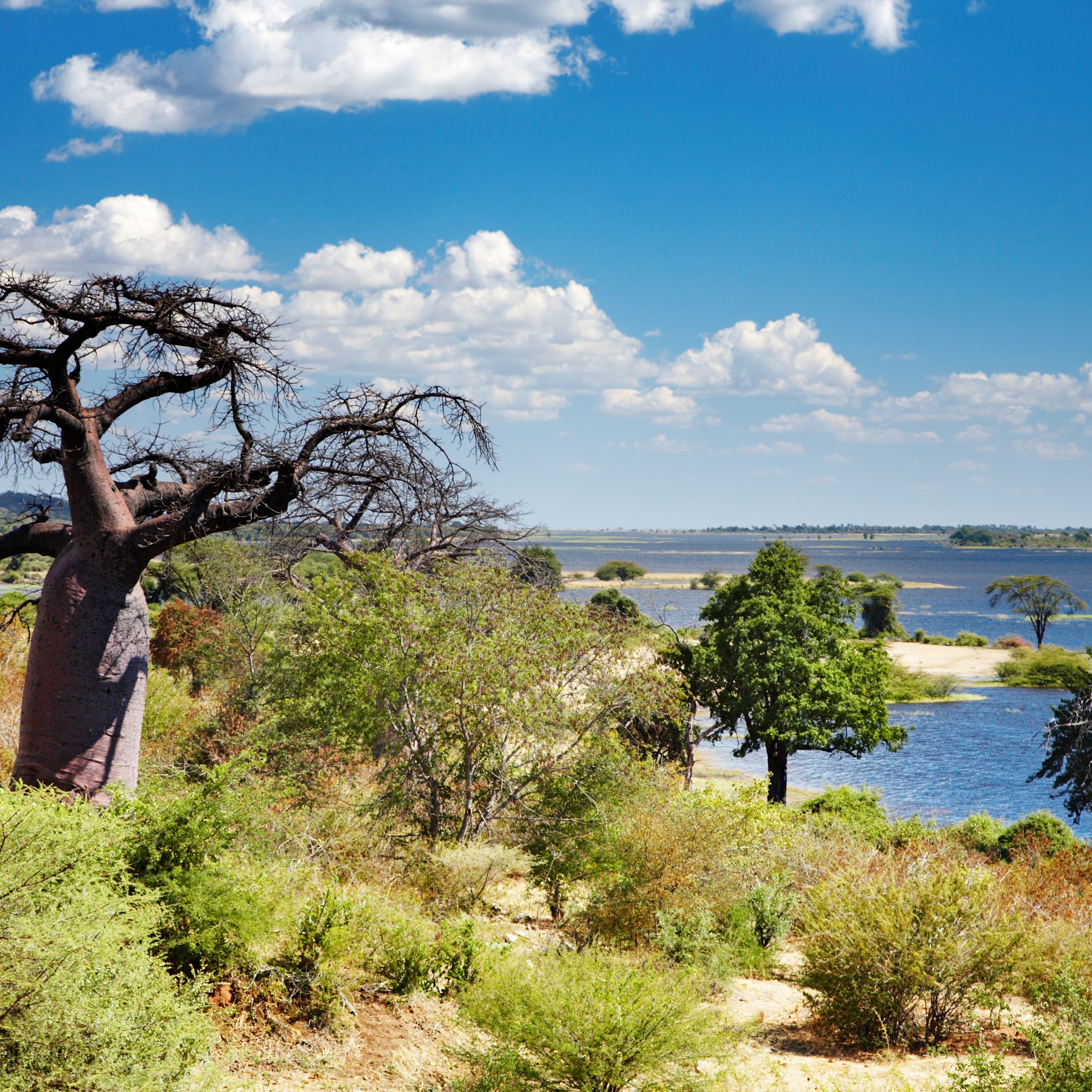31 Day Cape Town to Johannesburg via Zimbabwe Safari Tour