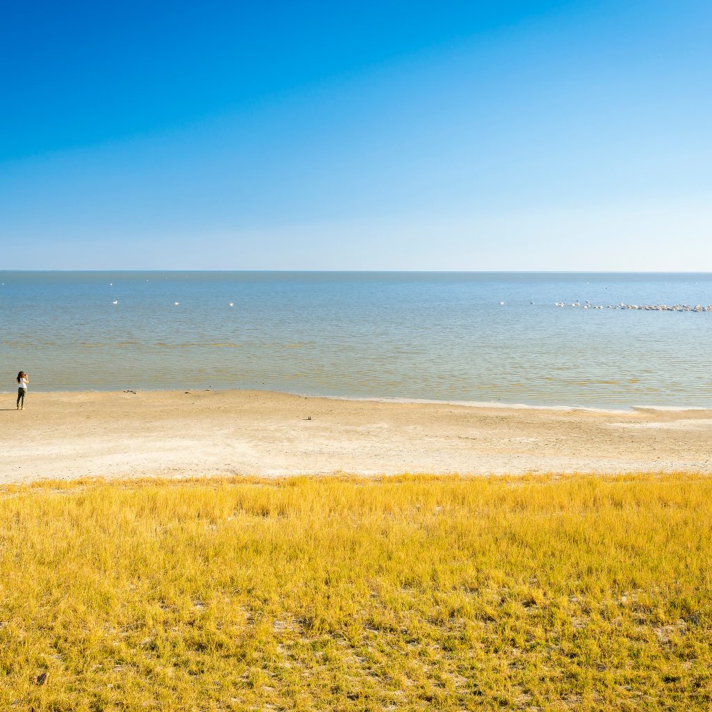 Lady by lake with waterbirds on it in Makgadikgadi Pans, Botswana, in the rainy season