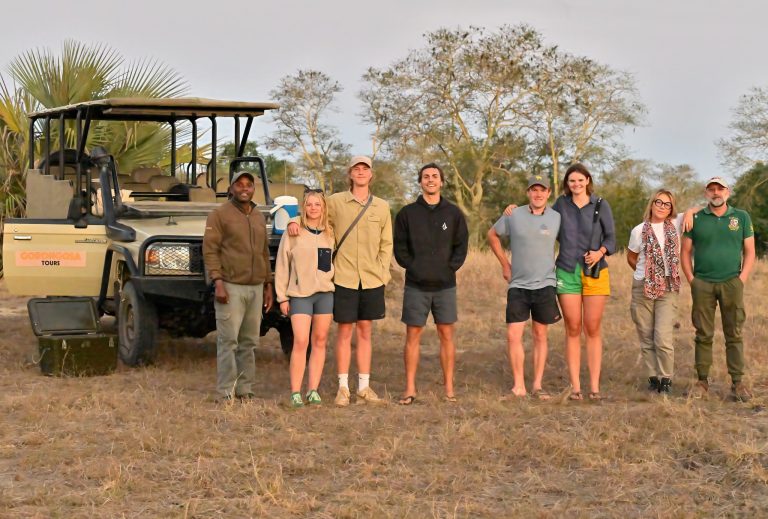 The Definitive Guide to Choosing the Right African Safari