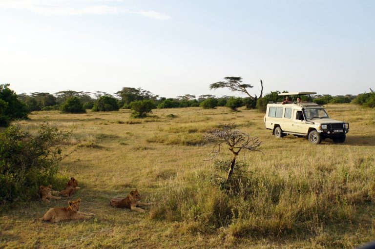 Where to go on safari in Africa in June