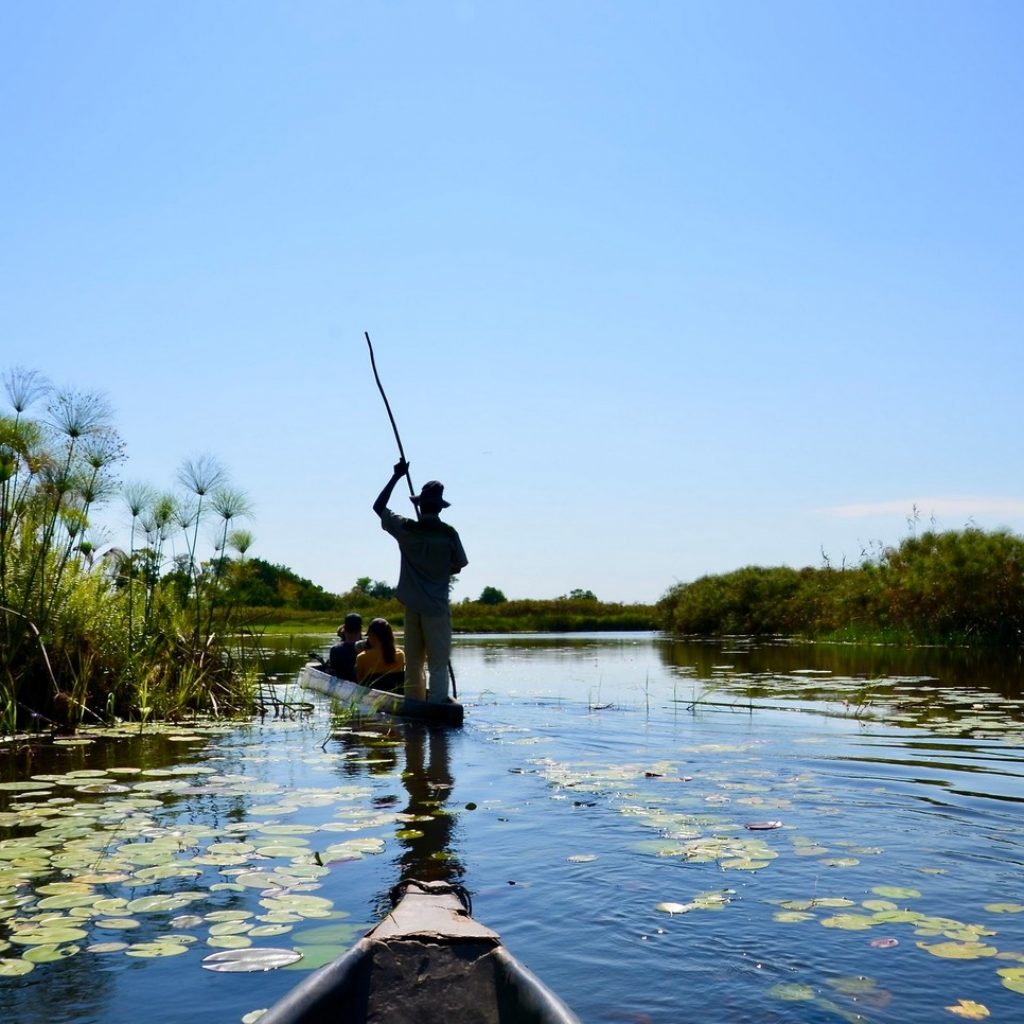 Mokoro Excursion in the Delta