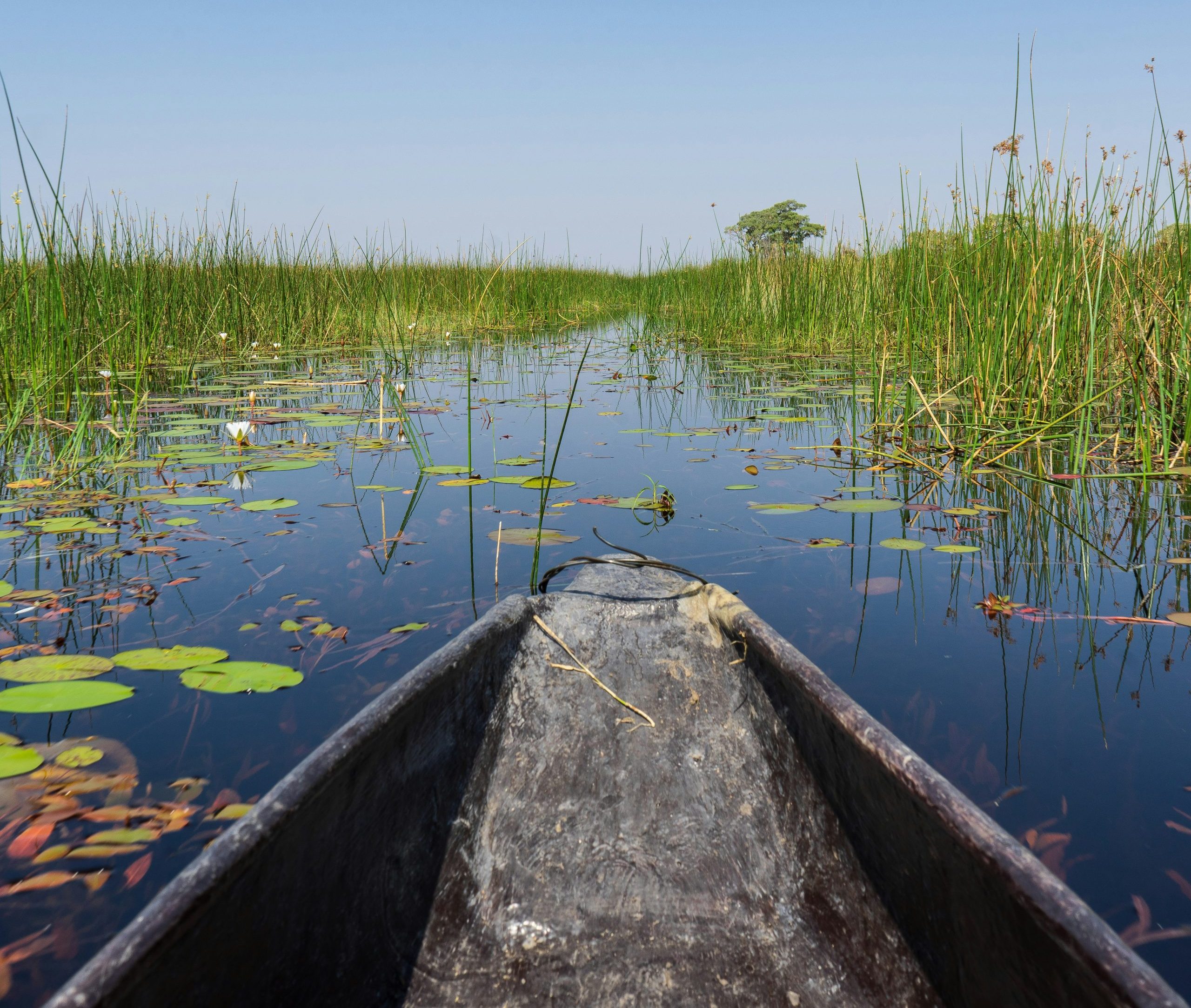 View from mokoro of Okvangao Delta channel, Botswana safari