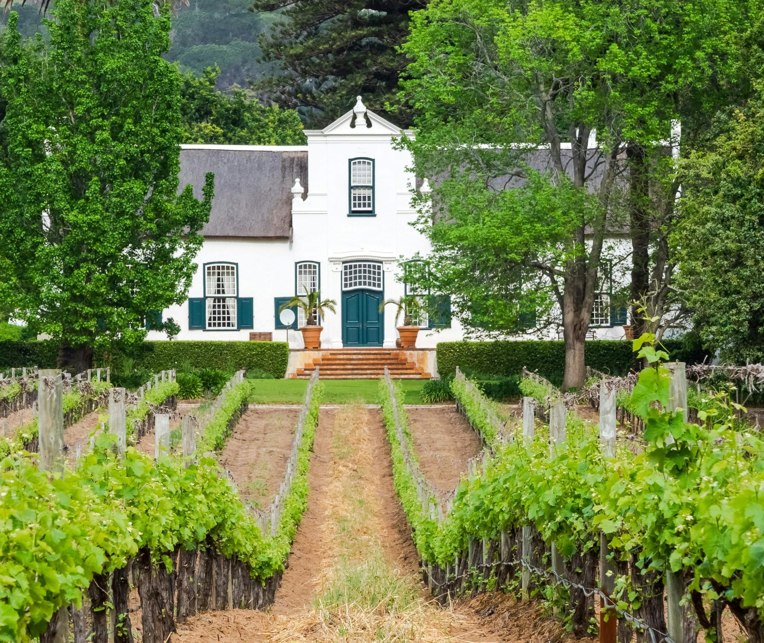 Groot Constantia farmhouse and vineyards, Cape Town