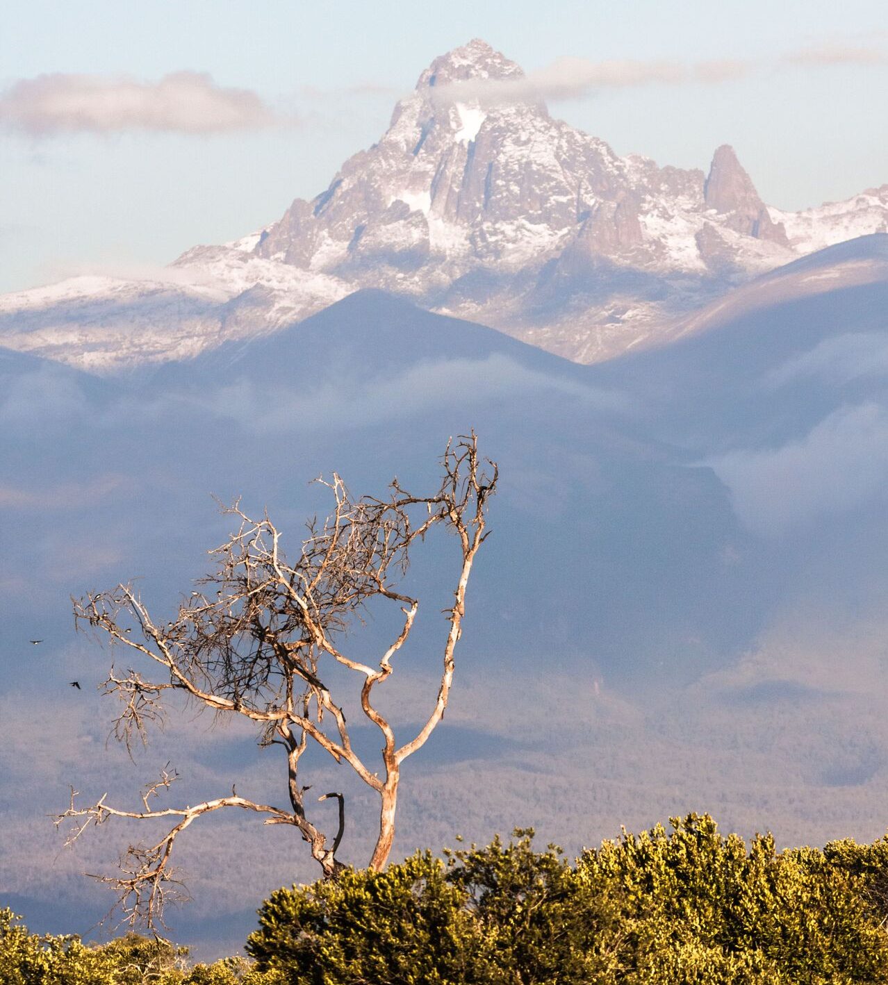 mount kenya viewed from a distance