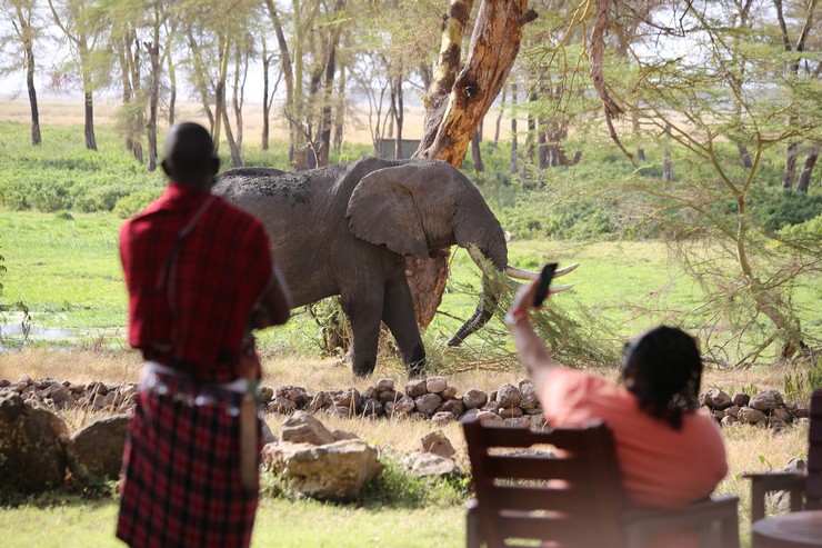 9WTK Day 5: Amboseli National Park, Kenya