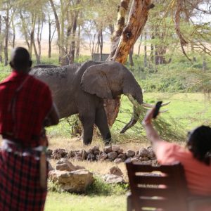 9 Days Kenya Ultimate Wilderness Safari