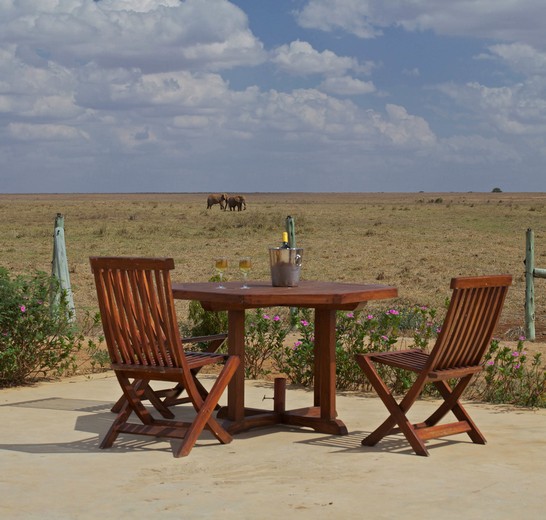 9WTK Day 8: Tsavo East National Park, Kenya