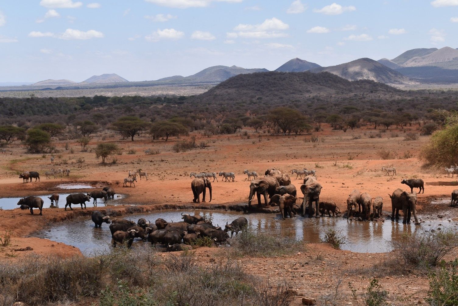 9WTK Day 7: Amboseli National Park – Tsavo West National Park