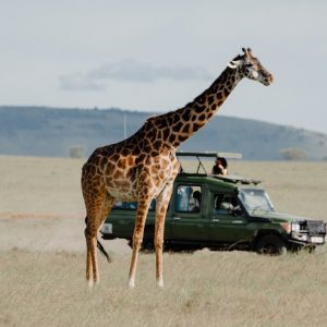 9 Days Kenya Ultimate Wilderness Safari – Private Tour