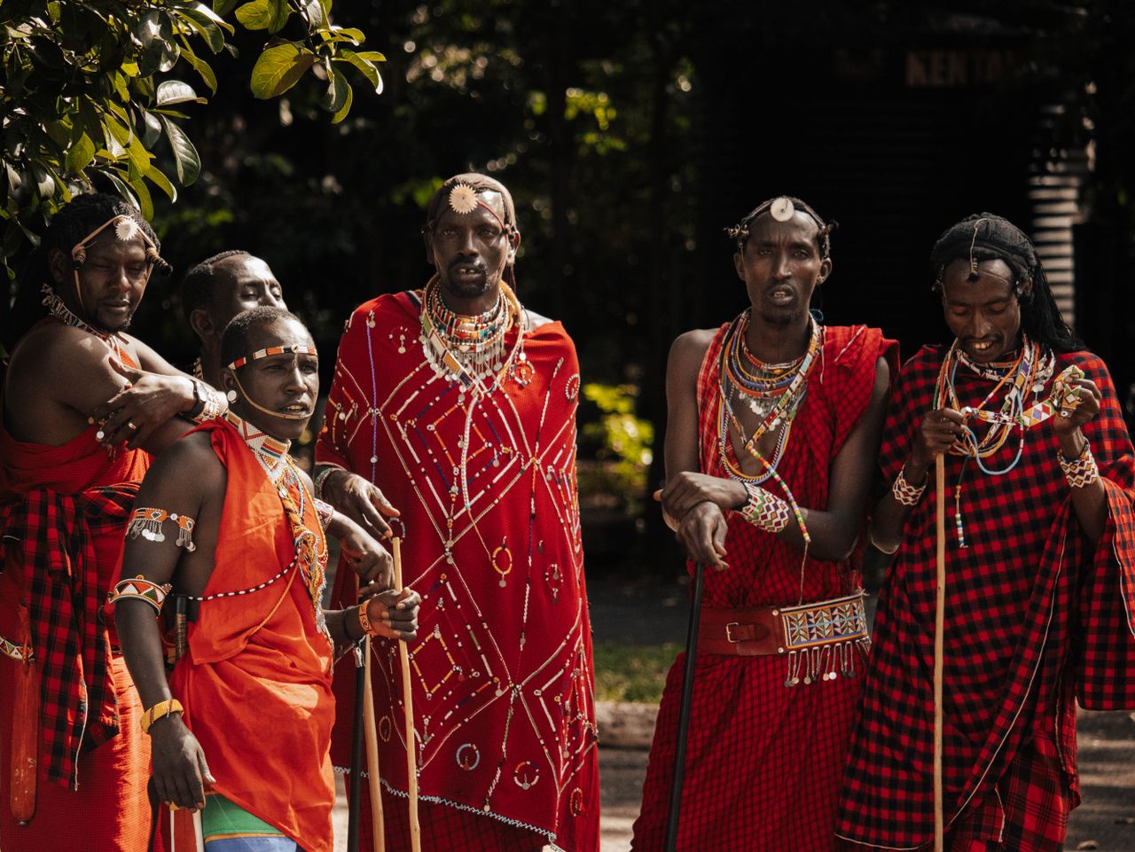 maasai traditional dancers in attire performing in nairobi kenya