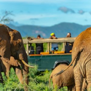 8 Day Kenya Highlights Adventure – Private Tour