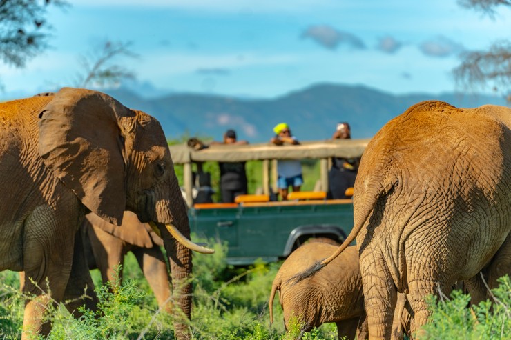 8 Day Kenya Highlights Adventure – Private Tour