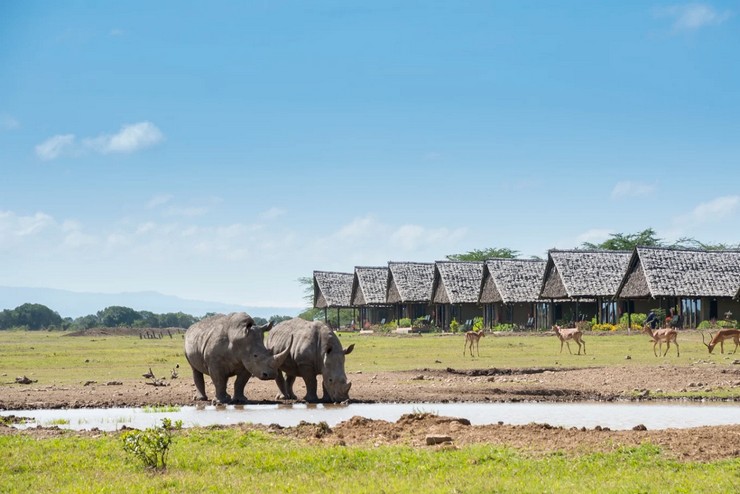 17UEA Day 15: Lake Naivasha – Ol Pejeta Conservancy, Kenya