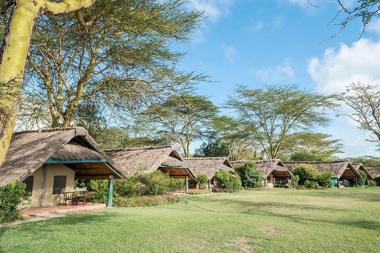 17UEA Day 16: Ol Pejeta Conservancy, Kenya