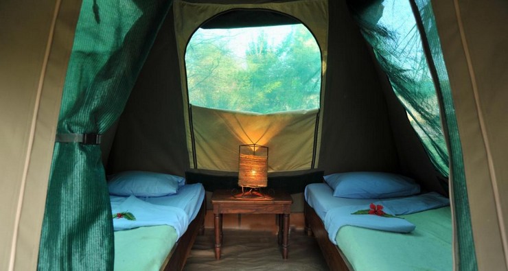 Livingstone Accommodation