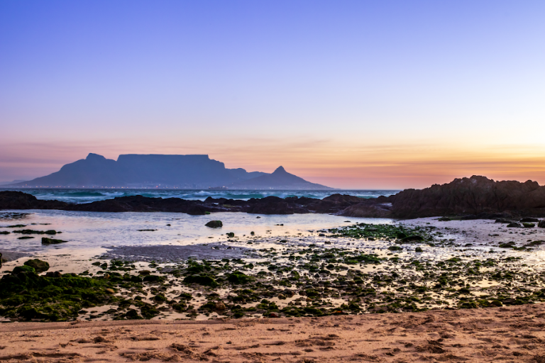 Your Everything Guide to the Garden Route of South Africa
