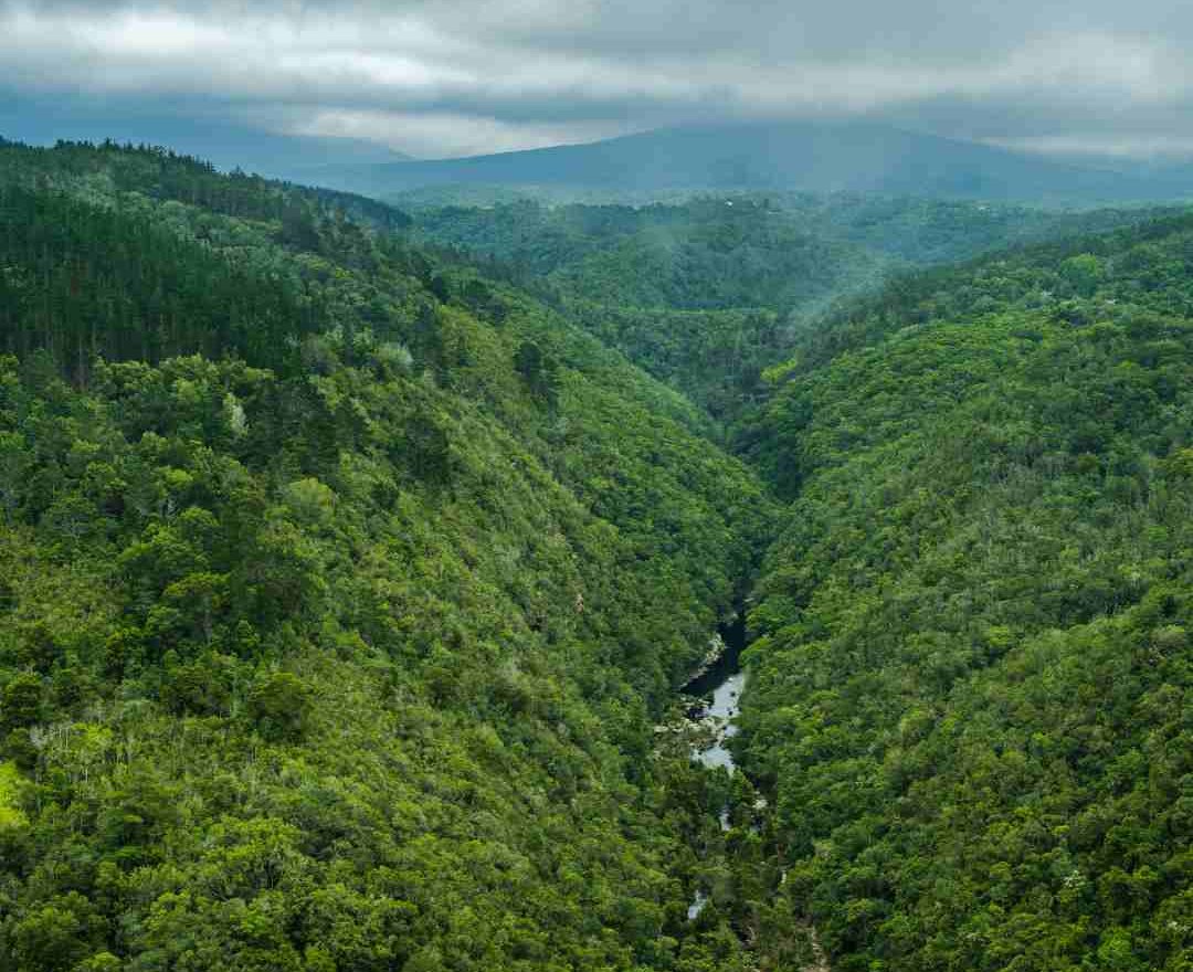 map-of-africa-viewpoint-in-wilderness-garden-route-south-africa