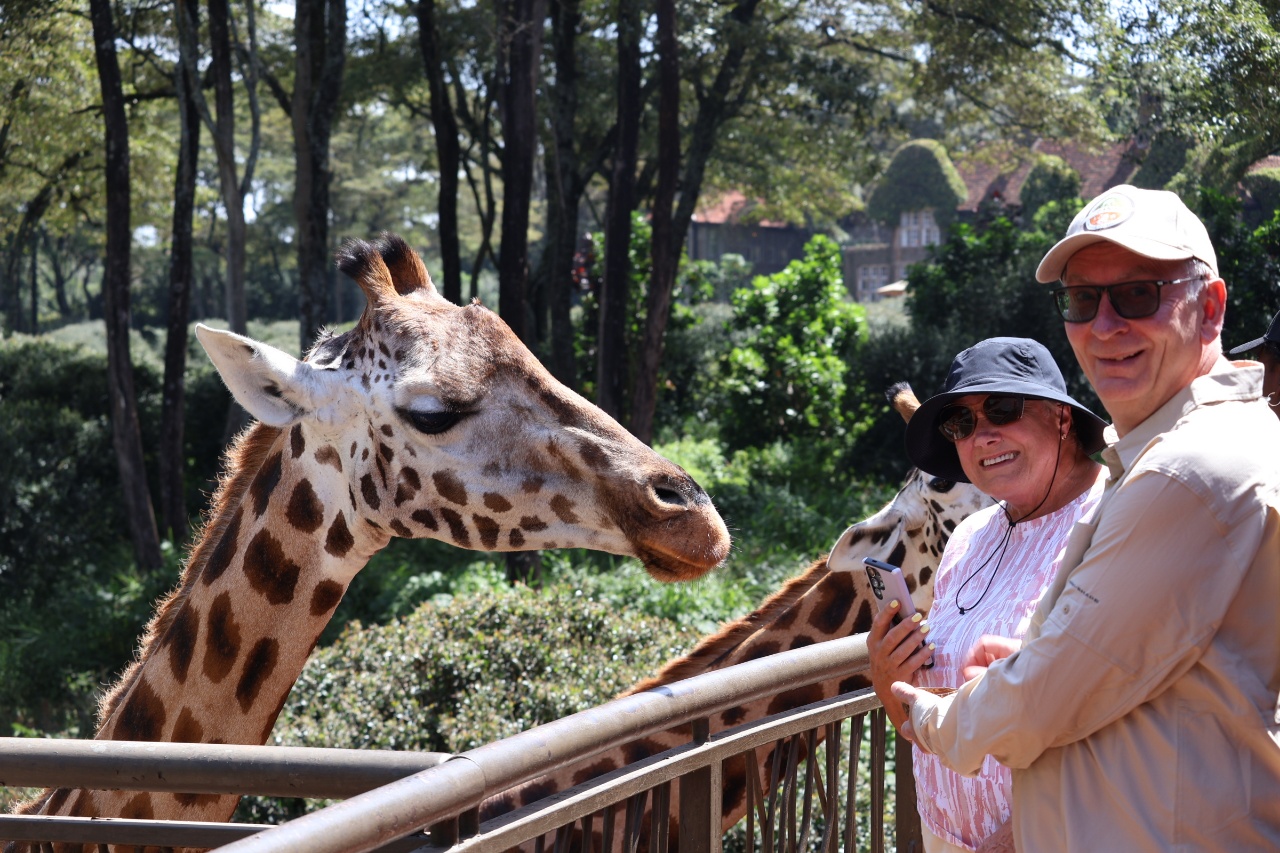 Guests in Nairobi at the Giraffe Centre feeding a Giraffe