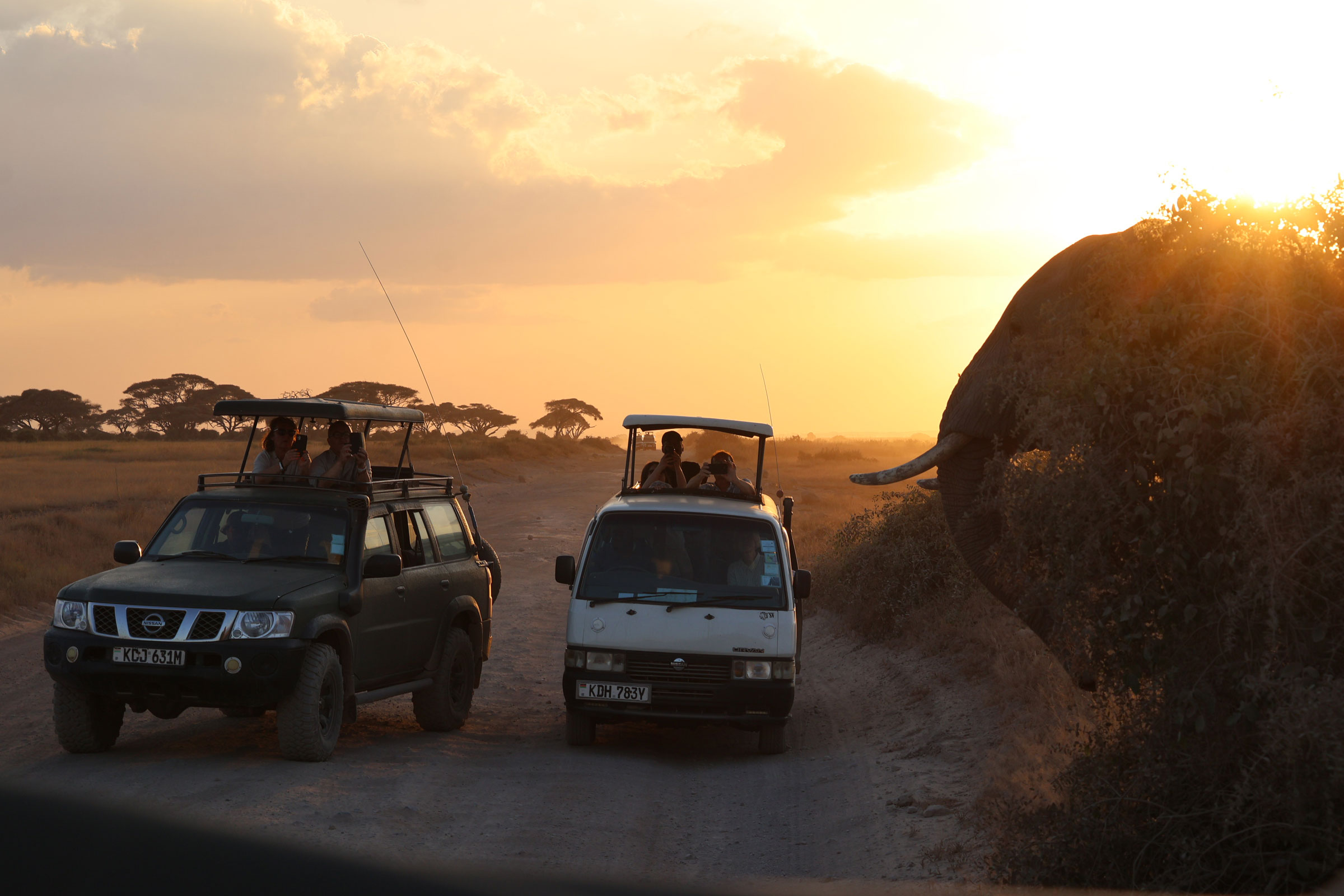 4x4 vehicles on safari in east africa