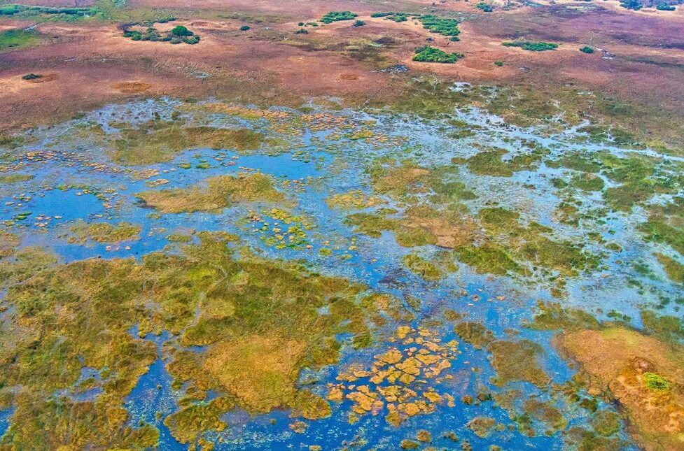 Aerial view of Okavango Delta in flooded season(1)