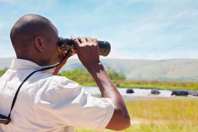 Meet Africa’s ‘Little Five’ safari animals