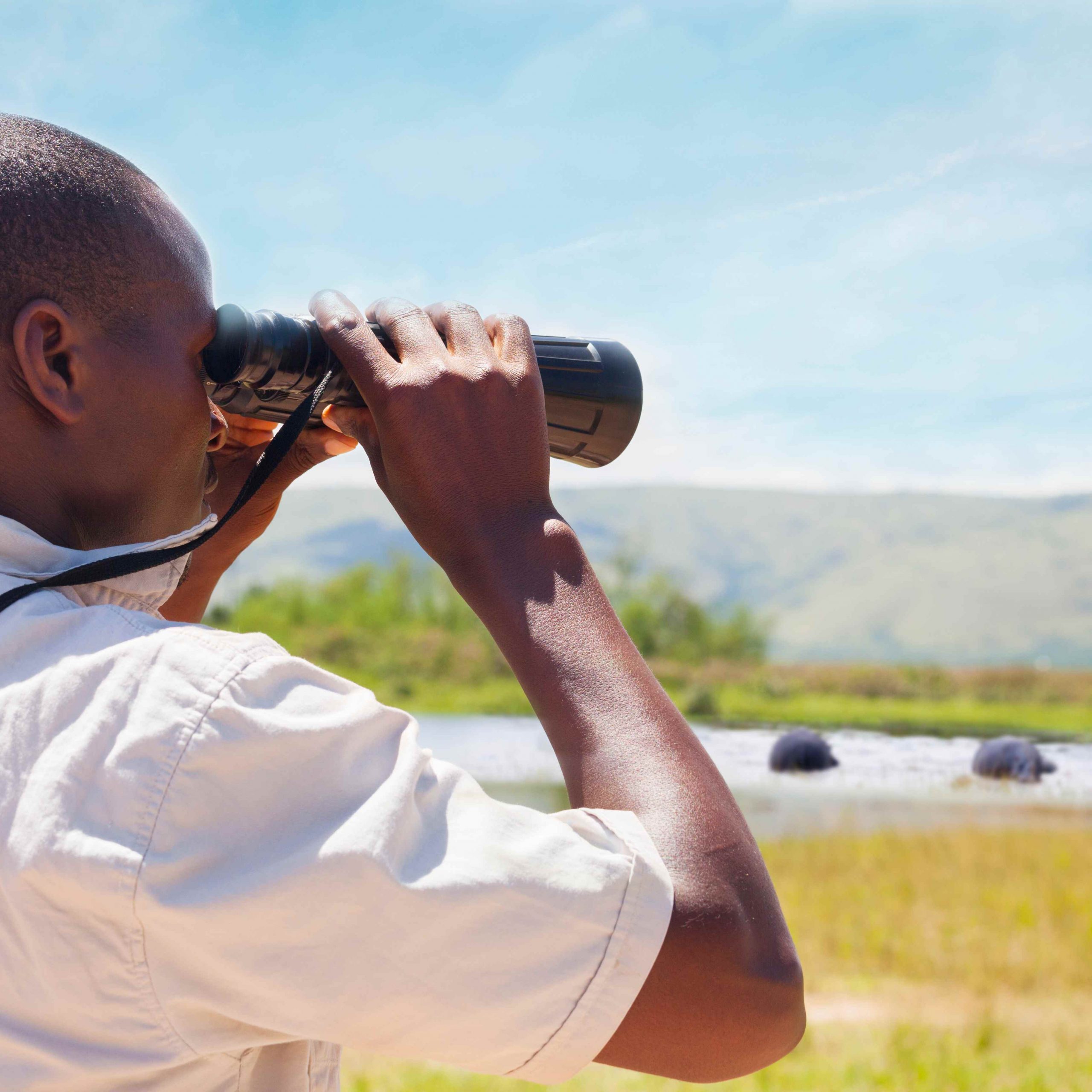 African man looking through binoculars in safari setting, with hippos and hill in background, blurred