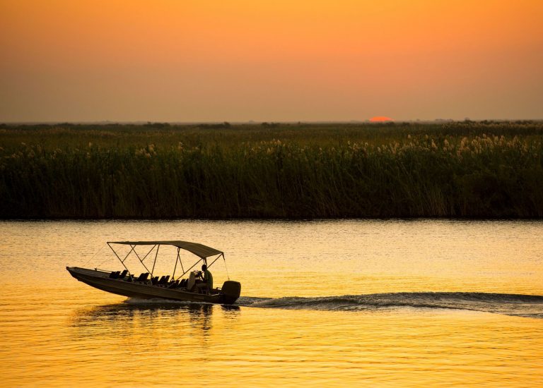 5 most beautiful wildlife reserves in Botswana: A photographic journey