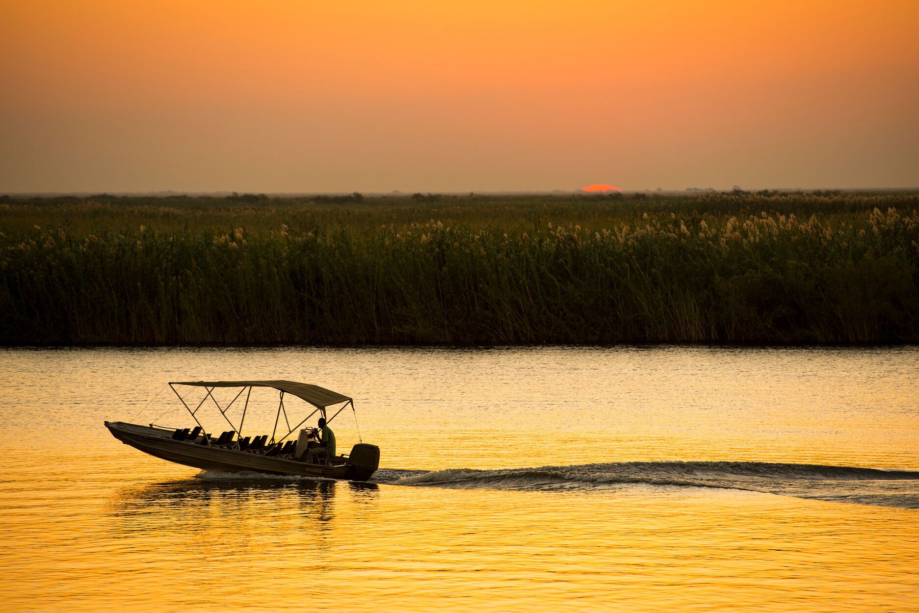 Boat on Chobe River at sunset, beautiful Botswana(1)