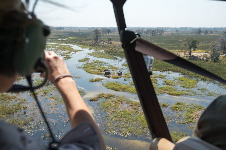 BOTS16 2027 Day 7 – 8: Maun – Okavango Delta, Botswana