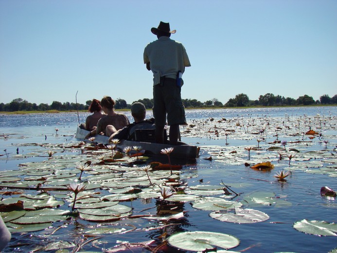 16 Day Botswana & Zimbabwe Safari 2027