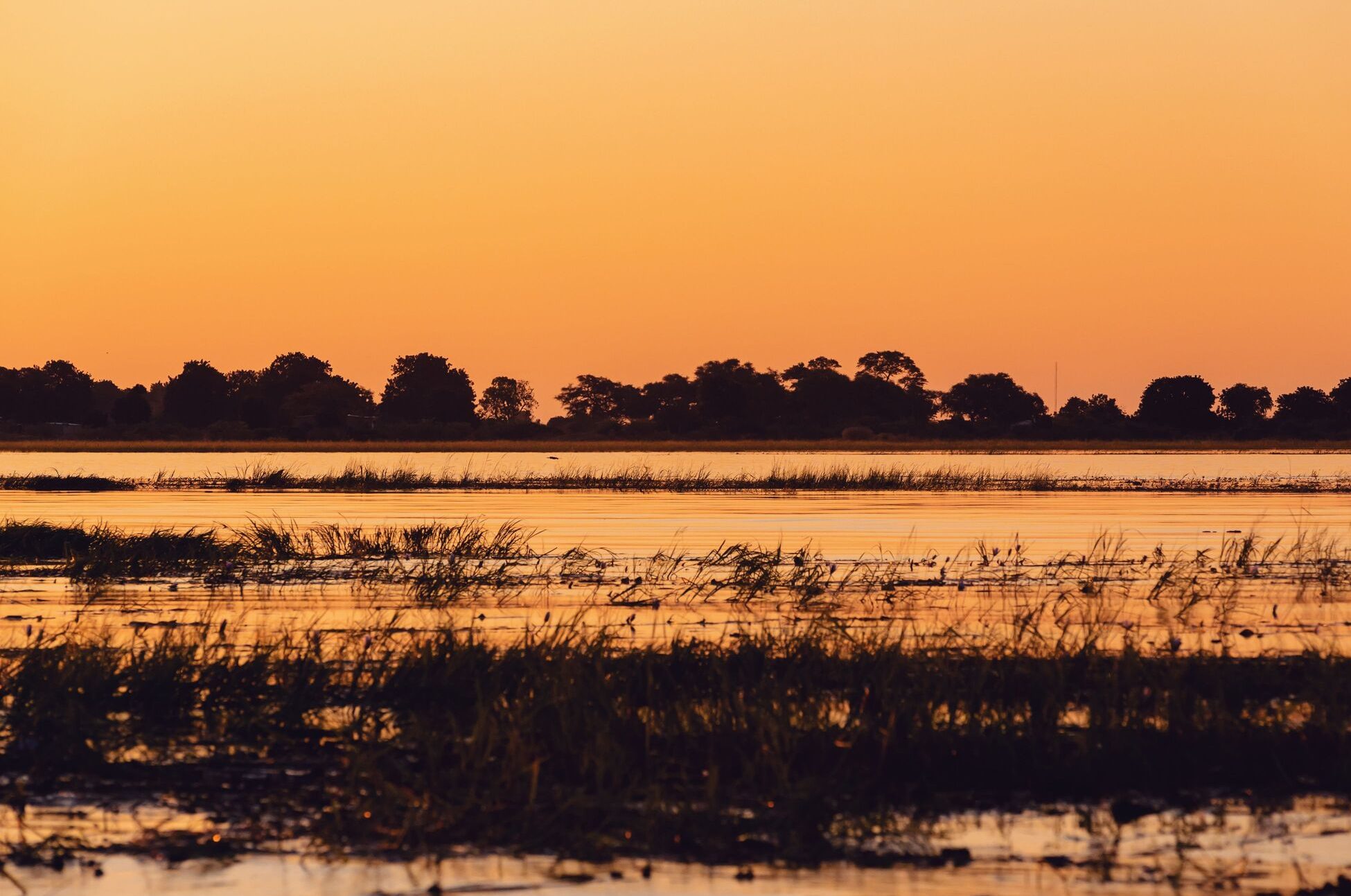 Sunset over Chobe River(1)