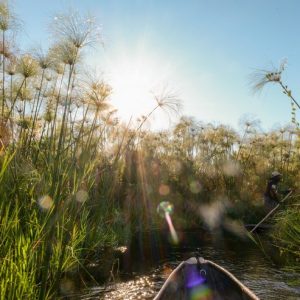 22 Day Cape Town to Victoria Falls Explorer
