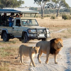 15 Day Botswana Adventure Tour