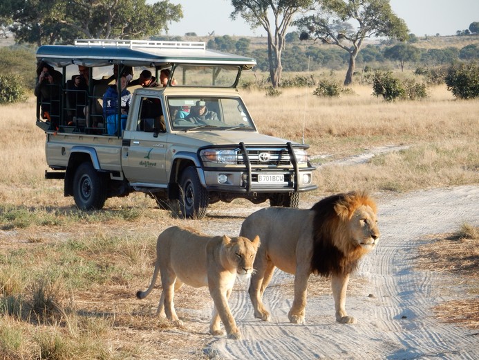 15 Day Botswana Adventure Tour