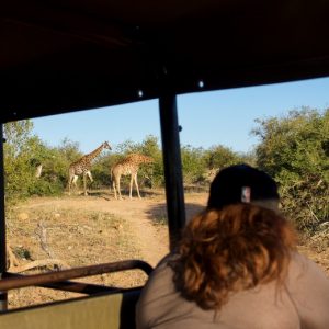 6 Day Kruger Big 5 and Treehouse Safari