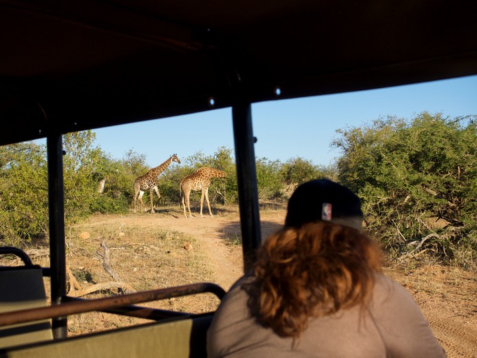 6 Day Kruger Big 5 and Treehouse Safari