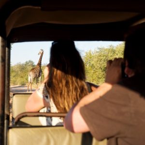 5 Day Greater Kruger Treehouse Safari