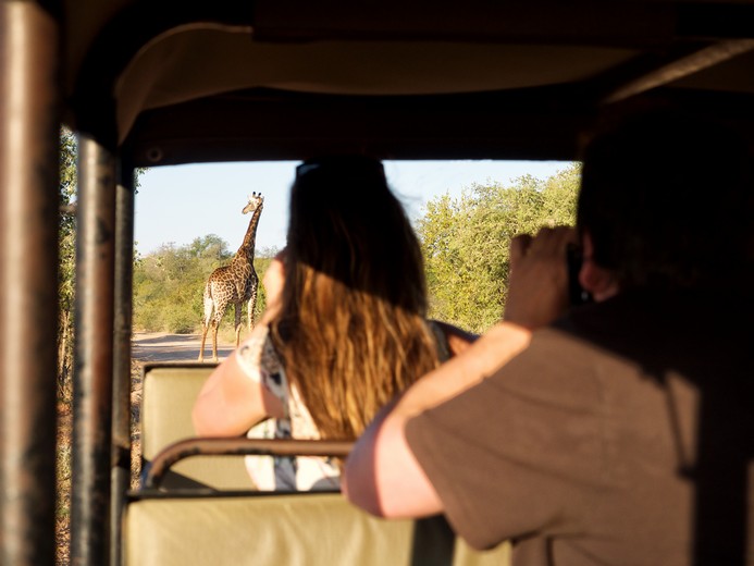 5 Day Greater Kruger Treehouse Safari